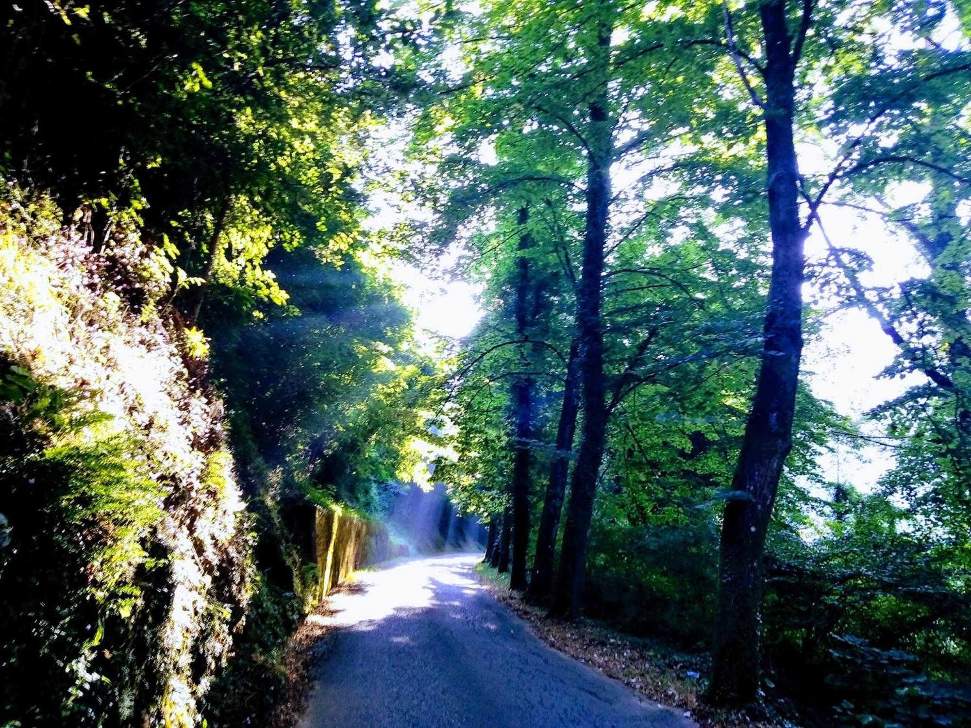 Casolare Puccini Διαμέρισμα Bagni di Lucca Εξωτερικό φωτογραφία