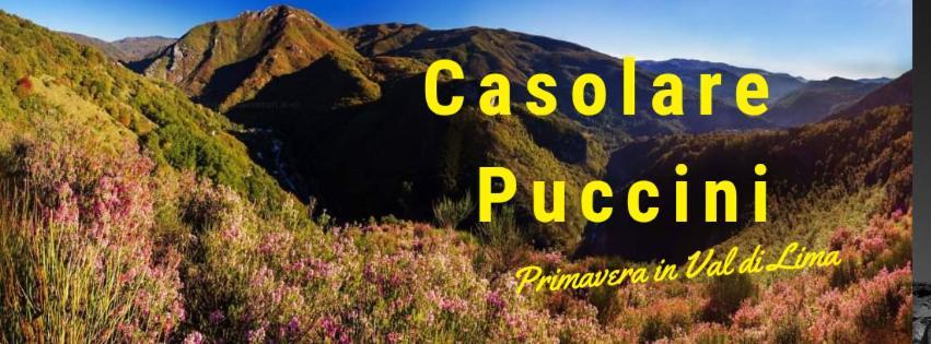 Casolare Puccini Διαμέρισμα Bagni di Lucca Εξωτερικό φωτογραφία