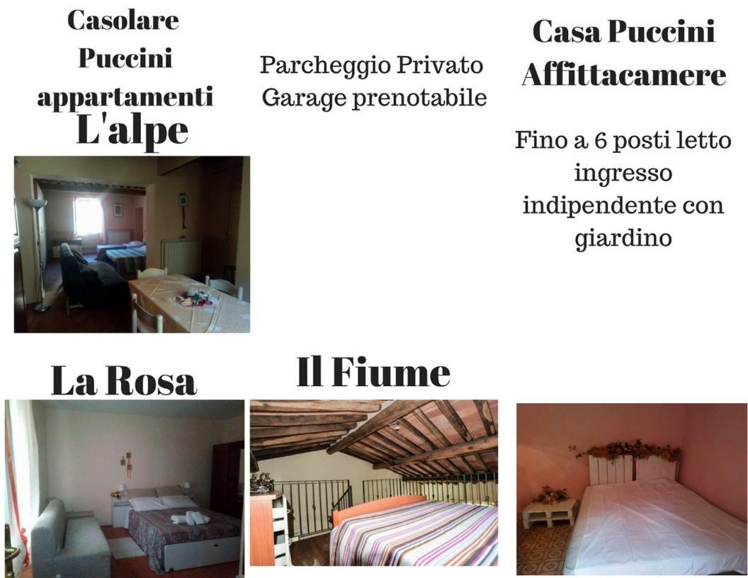 Casolare Puccini Διαμέρισμα Bagni di Lucca Εξωτερικό φωτογραφία